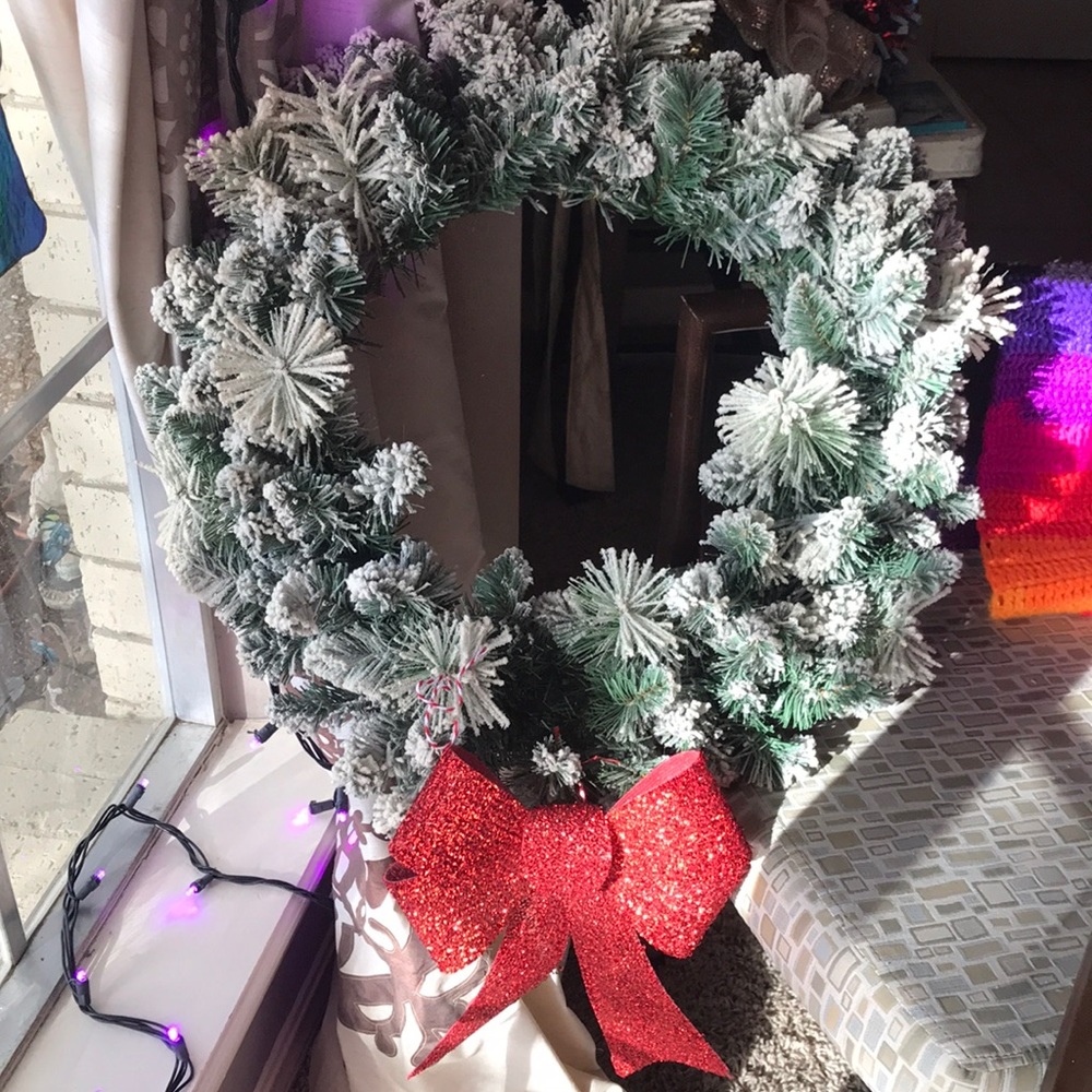 Flocked Holiday Door Wreath